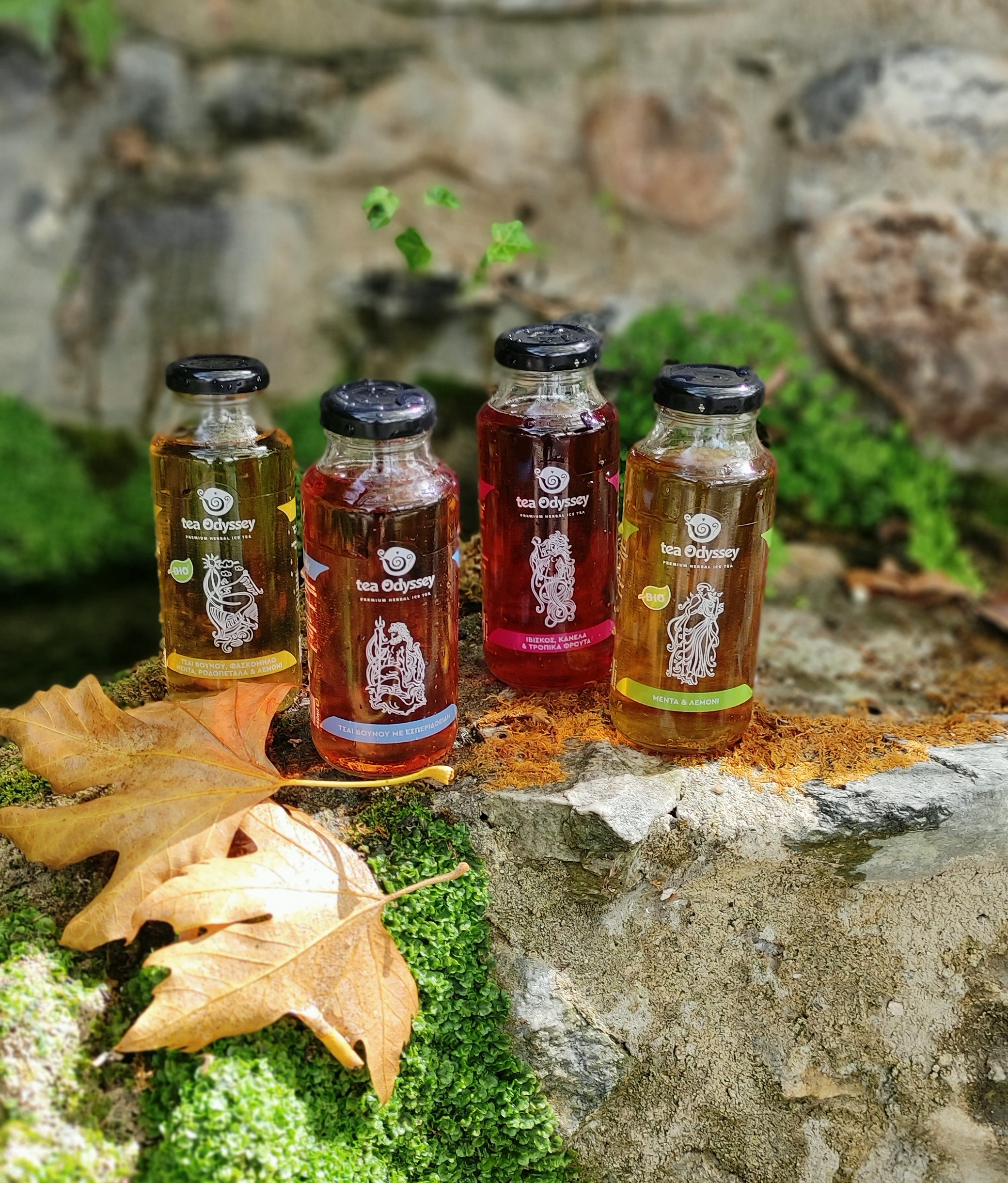 Ice tea Odyssey 4labels