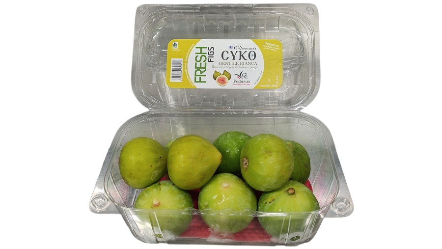 Σύκο gentile